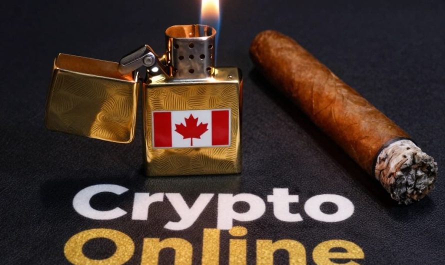 New Crypto Casino Online for Beginners in Canada: A Comprehensive Guide